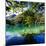 China 10MKm2 Collection - Beautiful Lake in the Jiuzhaigou National Park-Philippe Hugonnard-Mounted Photographic Print