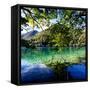 China 10MKm2 Collection - Beautiful Lake in the Jiuzhaigou National Park-Philippe Hugonnard-Framed Stretched Canvas