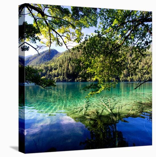 China 10MKm2 Collection - Beautiful Lake in the Jiuzhaigou National Park-Philippe Hugonnard-Stretched Canvas