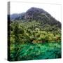 China 10MKm2 Collection - Beautiful Lake in the Jiuzhaigou National Park-Philippe Hugonnard-Stretched Canvas