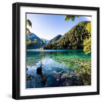 China 10MKm2 Collection - Beautiful Lake in the Jiuzhaigou National Park-Philippe Hugonnard-Framed Photographic Print