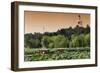 China 10MKm2 Collection - Beihai Park at Sunset-Philippe Hugonnard-Framed Photographic Print