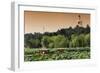 China 10MKm2 Collection - Beihai Park at Sunset-Philippe Hugonnard-Framed Photographic Print