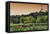 China 10MKm2 Collection - Beihai Park at Sunset-Philippe Hugonnard-Framed Stretched Canvas