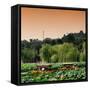 China 10MKm2 Collection - Beihai Park at Sunset-Philippe Hugonnard-Framed Stretched Canvas