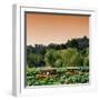 China 10MKm2 Collection - Beihai Park at Sunset-Philippe Hugonnard-Framed Photographic Print