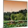 China 10MKm2 Collection - Beihai Park at Sunset-Philippe Hugonnard-Mounted Photographic Print