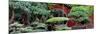 China 10MKm2 Collection - Bonsai Trees-Philippe Hugonnard-Mounted Photographic Print