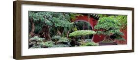 China 10MKm2 Collection - Bonsai Trees-Philippe Hugonnard-Framed Photographic Print