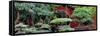 China 10MKm2 Collection - Bonsai Trees-Philippe Hugonnard-Framed Stretched Canvas