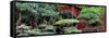 China 10MKm2 Collection - Bonsai Trees-Philippe Hugonnard-Framed Stretched Canvas