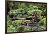 China 10MKm2 Collection - Bonsai Trees-Philippe Hugonnard-Framed Photographic Print