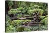 China 10MKm2 Collection - Bonsai Trees-Philippe Hugonnard-Stretched Canvas