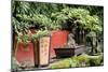 China 10MKm2 Collection - Bonsai Trees-Philippe Hugonnard-Mounted Photographic Print