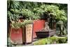 China 10MKm2 Collection - Bonsai Trees-Philippe Hugonnard-Stretched Canvas