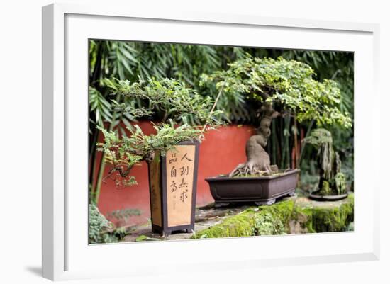 China 10MKm2 Collection - Bonsai Trees-Philippe Hugonnard-Framed Photographic Print