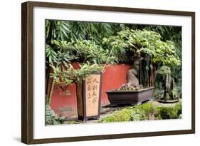 China 10MKm2 Collection - Bonsai Trees-Philippe Hugonnard-Framed Photographic Print