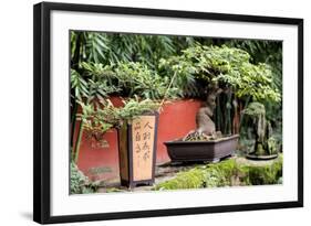 China 10MKm2 Collection - Bonsai Trees-Philippe Hugonnard-Framed Photographic Print