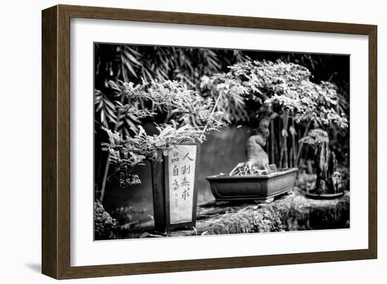 China 10MKm2 Collection - Bonsai Trees-Philippe Hugonnard-Framed Photographic Print