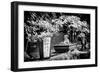 China 10MKm2 Collection - Bonsai Trees-Philippe Hugonnard-Framed Photographic Print