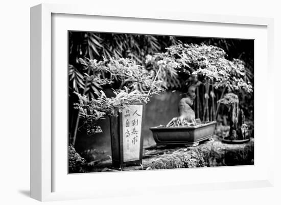 China 10MKm2 Collection - Bonsai Trees-Philippe Hugonnard-Framed Photographic Print