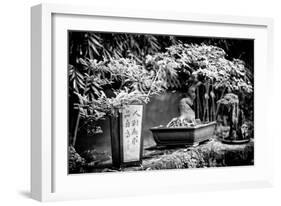 China 10MKm2 Collection - Bonsai Trees-Philippe Hugonnard-Framed Photographic Print