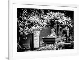 China 10MKm2 Collection - Bonsai Trees-Philippe Hugonnard-Framed Photographic Print