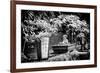 China 10MKm2 Collection - Bonsai Trees-Philippe Hugonnard-Framed Photographic Print