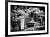 China 10MKm2 Collection - Bonsai Trees-Philippe Hugonnard-Framed Photographic Print