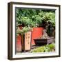 China 10MKm2 Collection - Bonsai Trees-Philippe Hugonnard-Framed Photographic Print