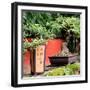 China 10MKm2 Collection - Bonsai Trees-Philippe Hugonnard-Framed Photographic Print