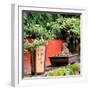 China 10MKm2 Collection - Bonsai Trees-Philippe Hugonnard-Framed Photographic Print