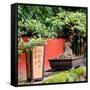 China 10MKm2 Collection - Bonsai Trees-Philippe Hugonnard-Framed Stretched Canvas