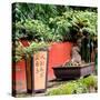 China 10MKm2 Collection - Bonsai Trees-Philippe Hugonnard-Stretched Canvas