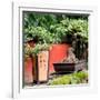 China 10MKm2 Collection - Bonsai Trees-Philippe Hugonnard-Framed Photographic Print