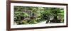 China 10MKm2 Collection - Bonsai Trees-Philippe Hugonnard-Framed Photographic Print