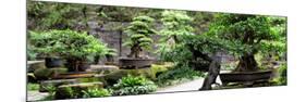 China 10MKm2 Collection - Bonsai Trees-Philippe Hugonnard-Mounted Photographic Print