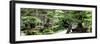 China 10MKm2 Collection - Bonsai Trees-Philippe Hugonnard-Framed Photographic Print