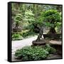 China 10MKm2 Collection - Bonsai Trees-Philippe Hugonnard-Framed Stretched Canvas