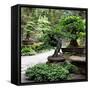 China 10MKm2 Collection - Bonsai Trees-Philippe Hugonnard-Framed Stretched Canvas