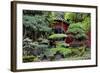 China 10MKm2 Collection - Bonsai Trees-Philippe Hugonnard-Framed Photographic Print