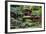 China 10MKm2 Collection - Bonsai Trees-Philippe Hugonnard-Framed Photographic Print