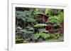 China 10MKm2 Collection - Bonsai Trees-Philippe Hugonnard-Framed Photographic Print