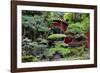 China 10MKm2 Collection - Bonsai Trees-Philippe Hugonnard-Framed Photographic Print