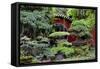 China 10MKm2 Collection - Bonsai Trees-Philippe Hugonnard-Framed Stretched Canvas