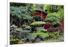 China 10MKm2 Collection - Bonsai Trees-Philippe Hugonnard-Framed Photographic Print