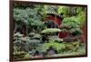 China 10MKm2 Collection - Bonsai Trees-Philippe Hugonnard-Framed Photographic Print