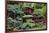 China 10MKm2 Collection - Bonsai Trees-Philippe Hugonnard-Framed Photographic Print