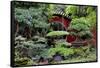 China 10MKm2 Collection - Bonsai Trees-Philippe Hugonnard-Framed Stretched Canvas