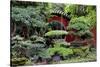 China 10MKm2 Collection - Bonsai Trees-Philippe Hugonnard-Stretched Canvas